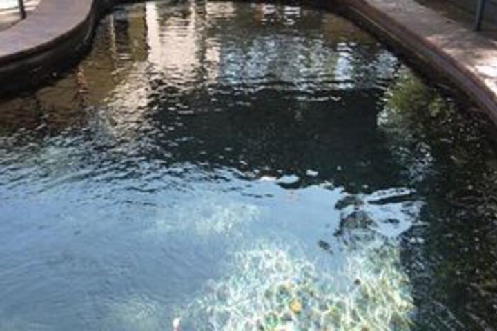 Pool 17 of 17