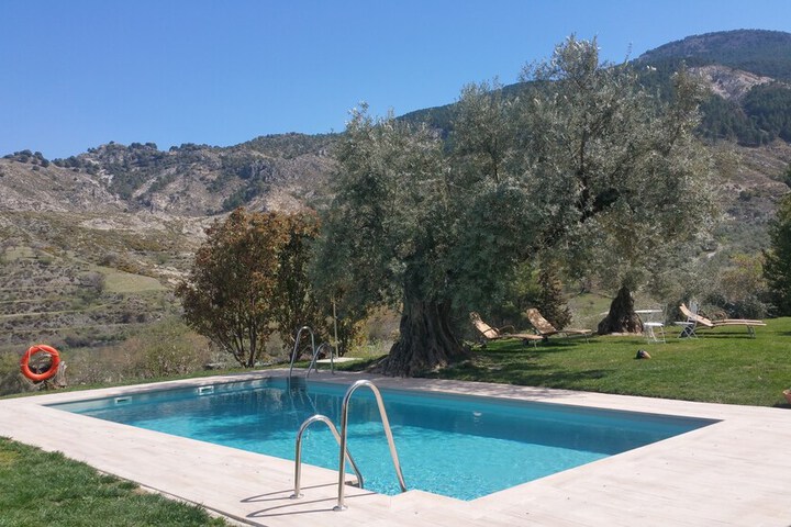 Pool 22 of 45