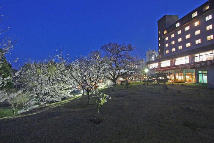 Photo 18