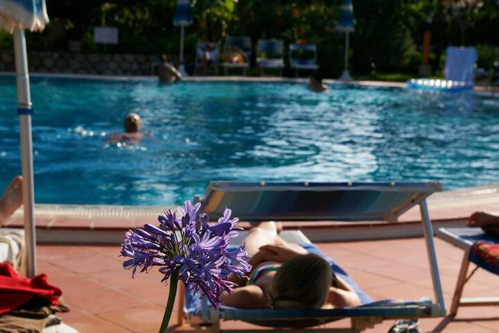 Hotel Pool
