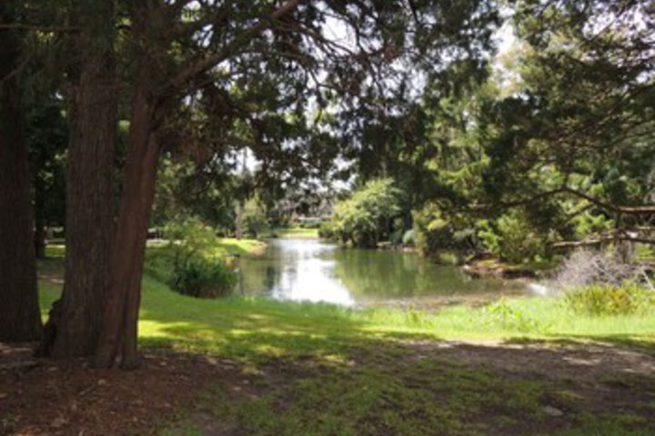 Property Grounds 26 of 36