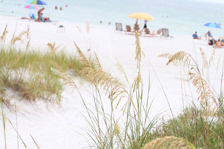 Beach 147 of 159