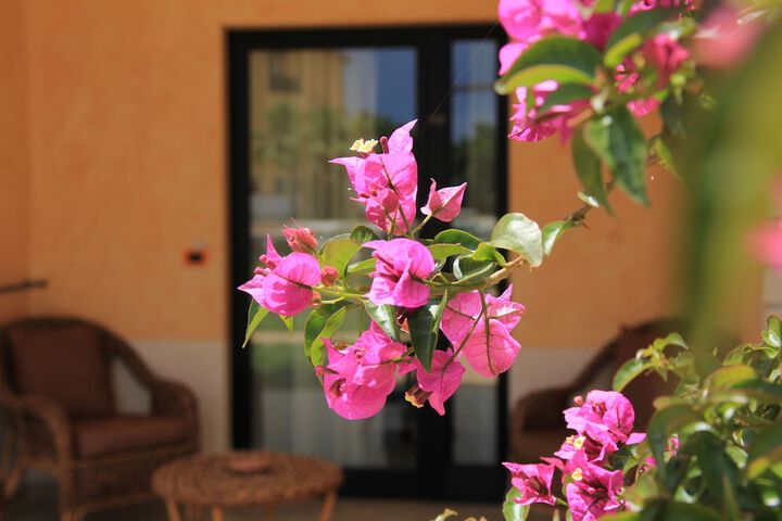 Terrace/Patio 13 of 98