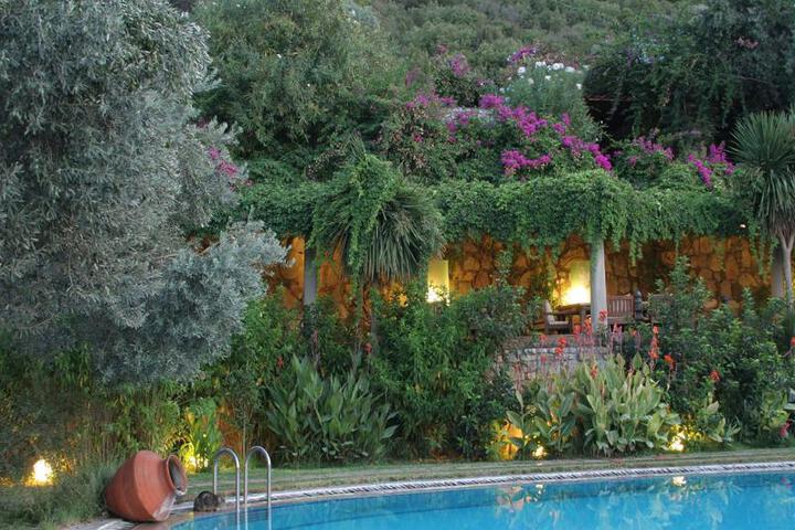 ANTIK ZEYTIN HOTEL & ART - BOUTIQUE CLAS