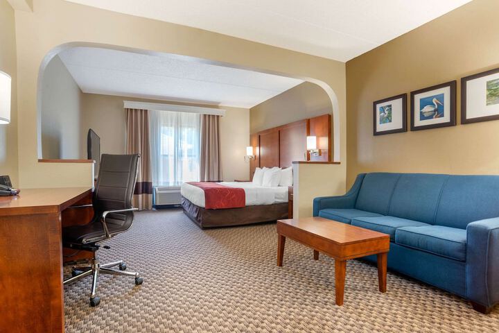 Suite King Bed Accessible (18 of 23)