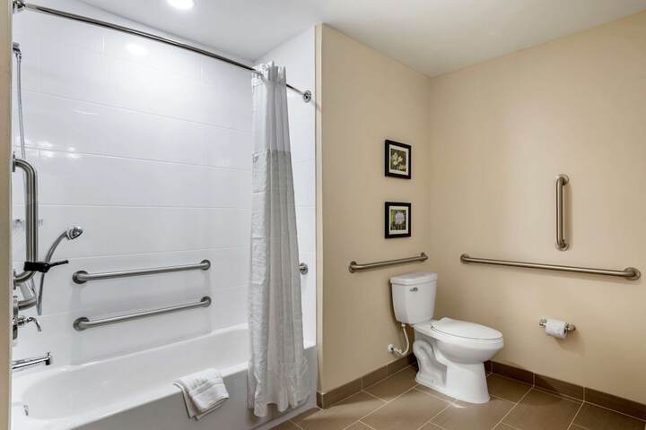 1 King Bed Accessible (4 of 13)