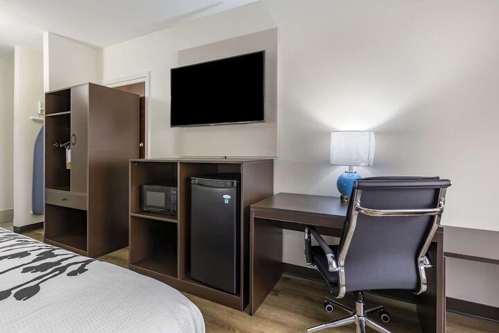 1 King Bed (4 of 8)