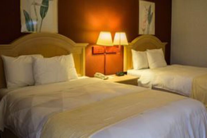 Room 38 of 61