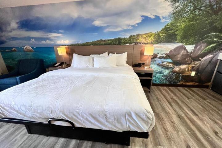 1 King Bed Accessible Upgrade (6 of 67)