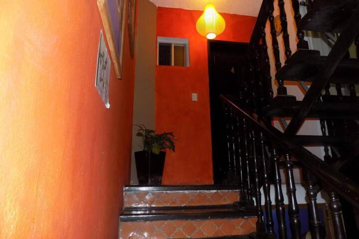 Photo 13