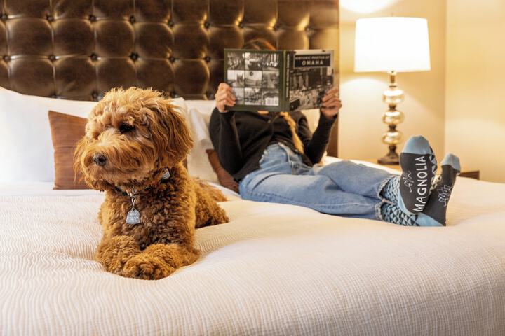 Pet-friendly