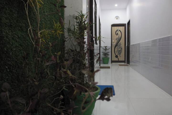 AVEXIA KANHA RESIDENCY