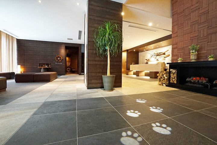 Entrance & Lobby