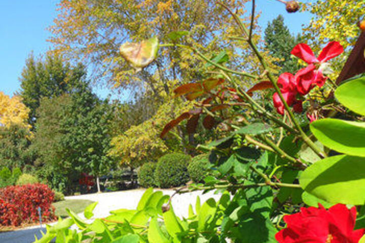 Hotel Exterior 7 of 24