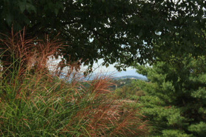 Property Grounds 75 of 79