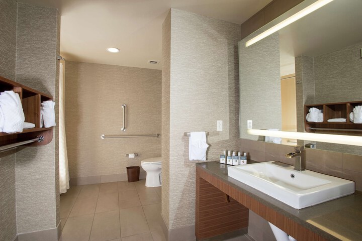 1 King Accessible with Roll in Shower Walnut View (16 of 19)