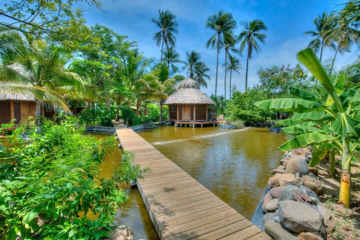 Spa and Wellness Pictures