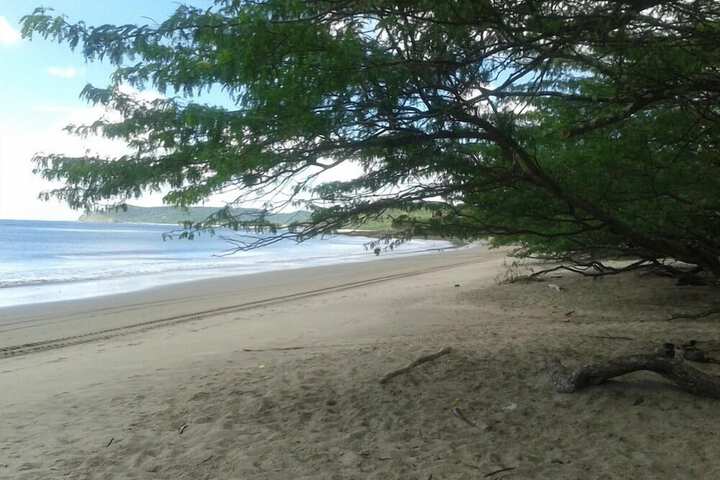 Beach 58 of 61