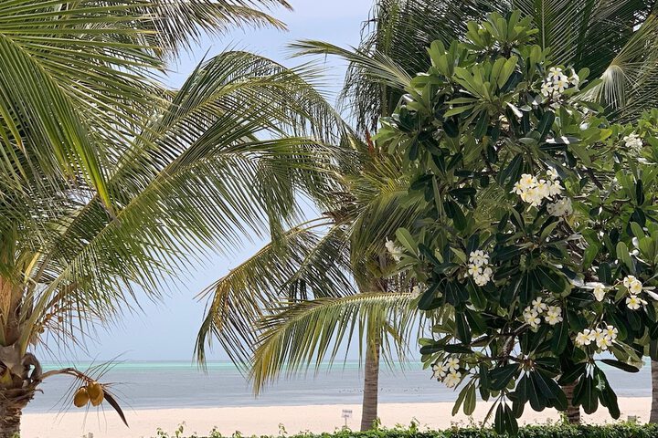 Beach 101 of 138