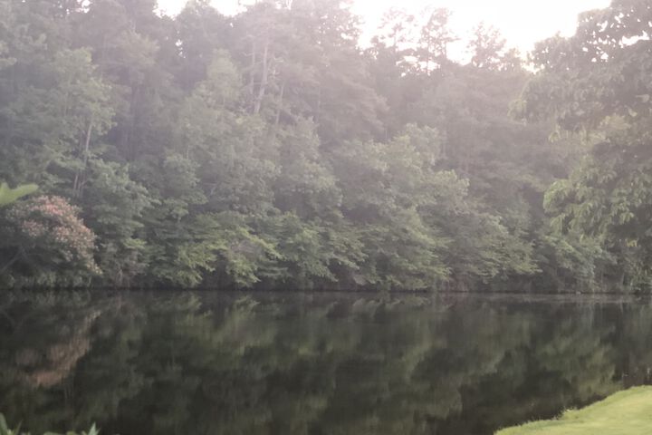 Property Grounds 16 of 16