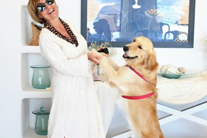 Pet Friendly 83 of 163