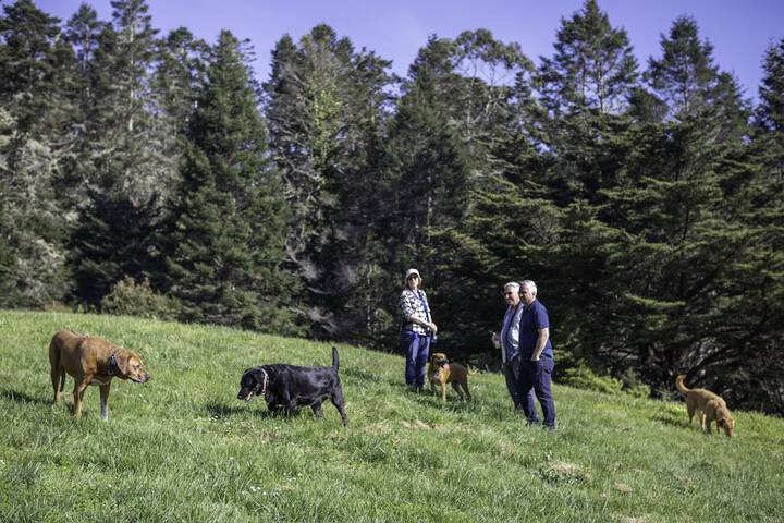 Pet Friendly 67 of 84