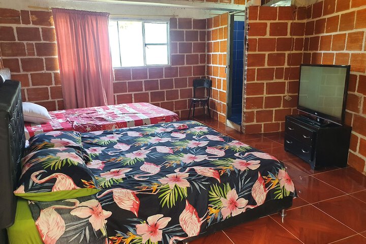 Room 22 of 26