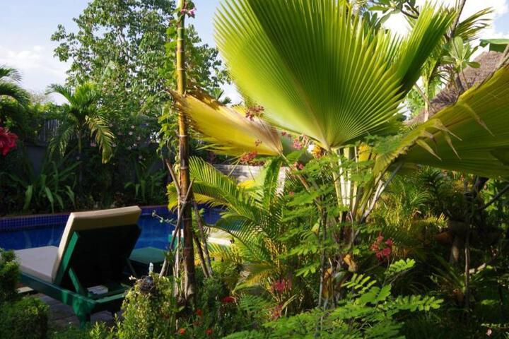 General 30 of 50