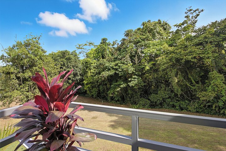 Terrace/Patio 214 of 391