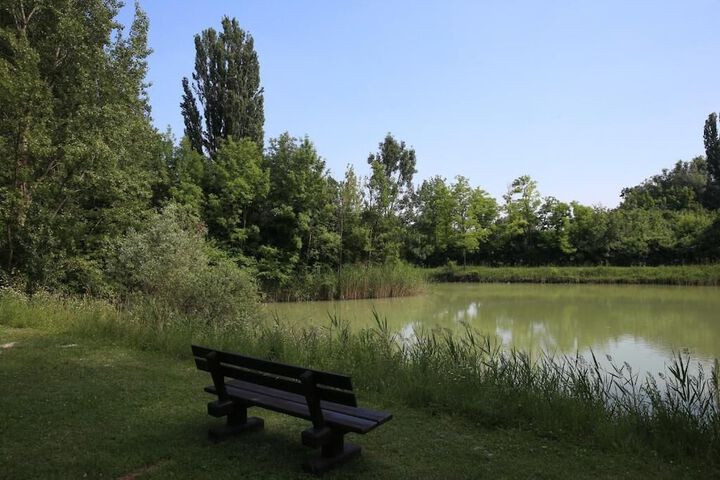 Property Grounds 21 of 25