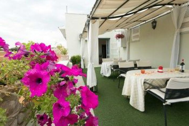 Terrace or Patio