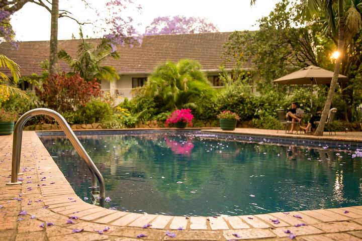 Pool to Cool