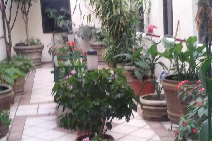 Hotel Ambar