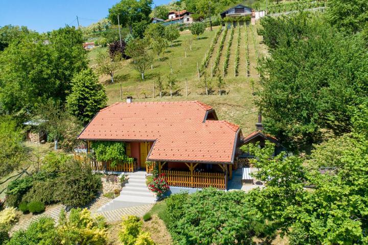 Kuca za odmor Hiza i Vila