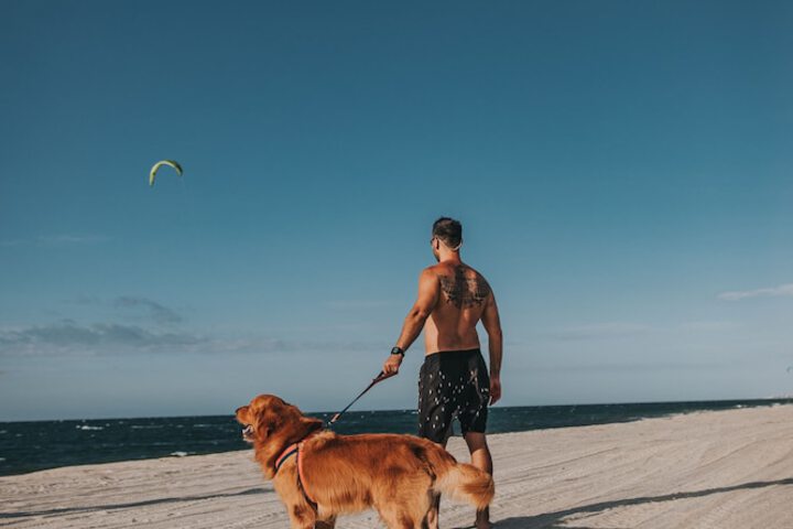 Pet Friendly 47 of 71