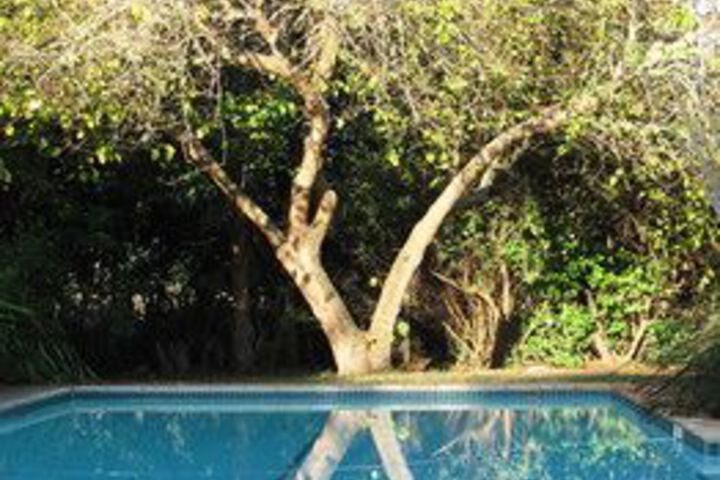 Pool 24 of 31