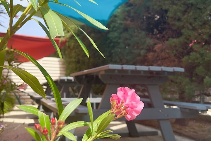 Terrace/Patio 17 of 49