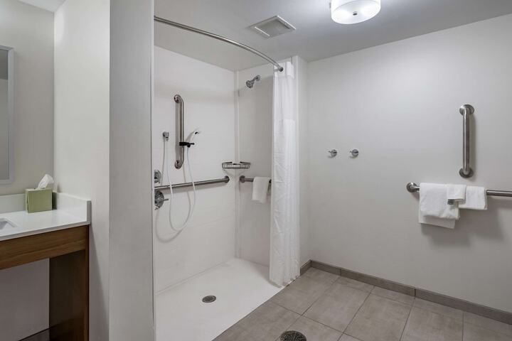 1 King Bed Suite (7 of 26)