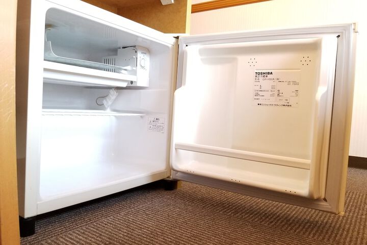 Mini-refrigerator