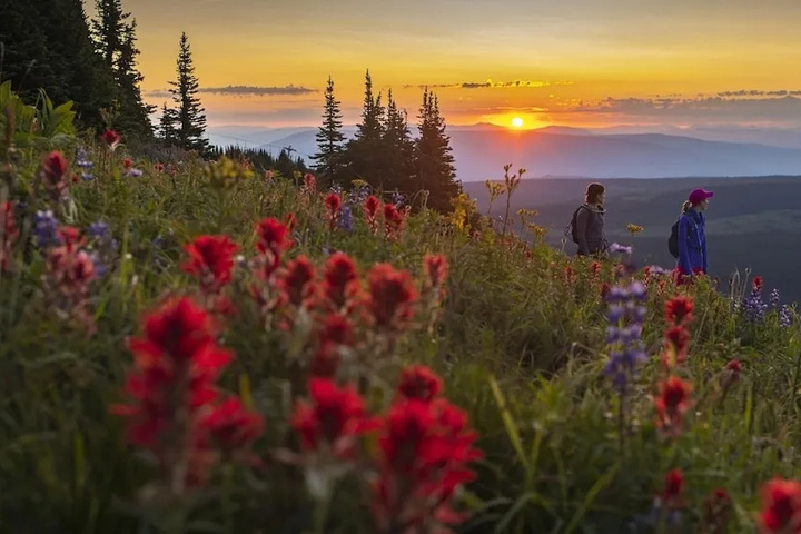 KOOKABURRA LODGE #301 BY BEAR COUNTRY - Sun Peaks BC 301 3270 Creekside Way