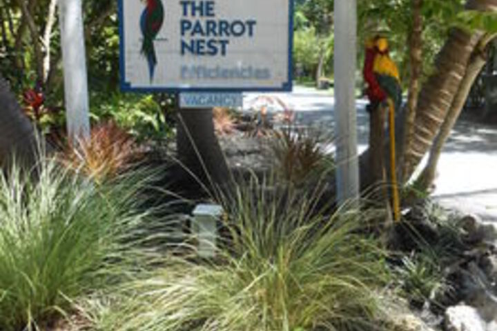 The Parrot Nest