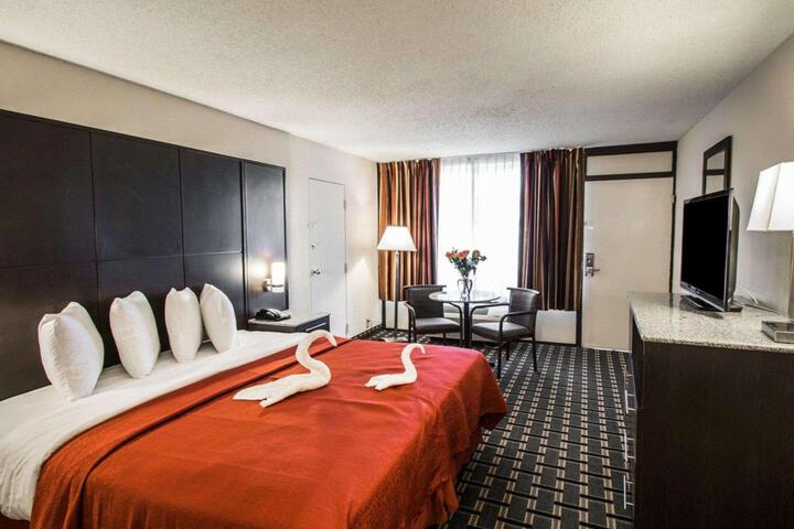 1 King Bed (8 of 10)