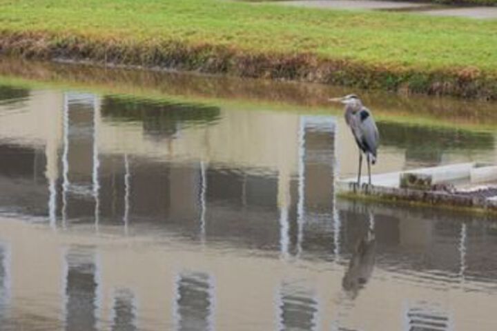 Property Grounds 14 of 15