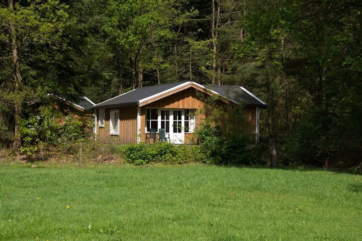 Cozy Chalet Near a National Park in Ruinen