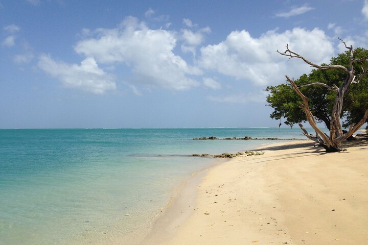 Beach 93 of 96