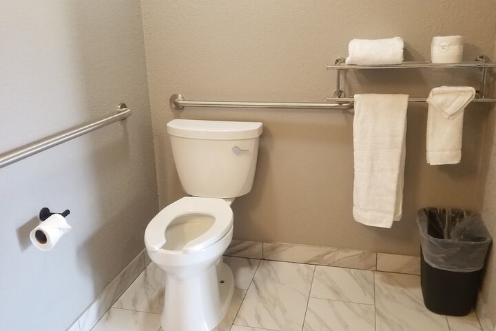 1 King Bed Mobility Accessible Roll in Shower (6 of 16)