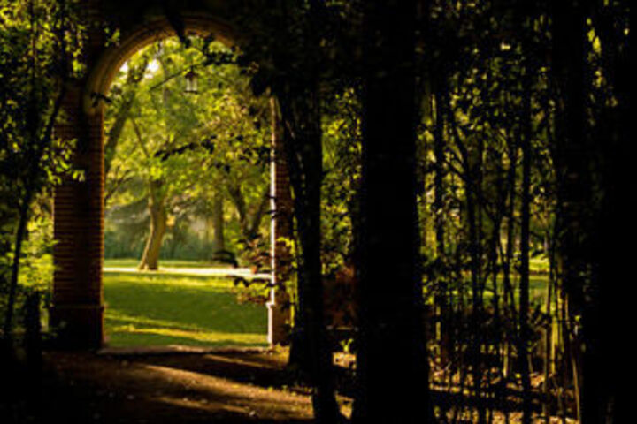 Property Grounds 80 of 90