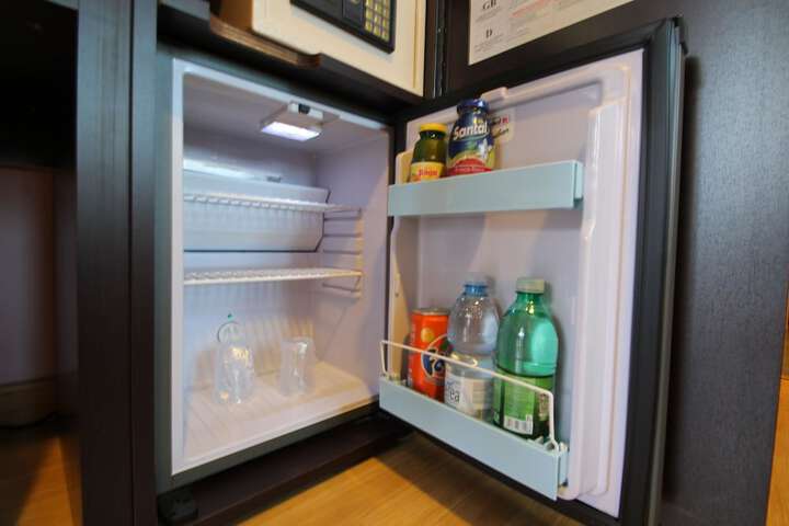 Mini-refrigerator