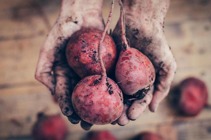 General 38 of 40
