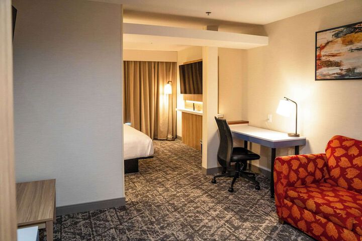 1 King Bed (9 of 12)